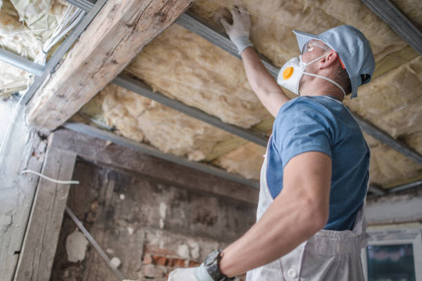 Best Insulation Materials and Products in Farm Loop, AK