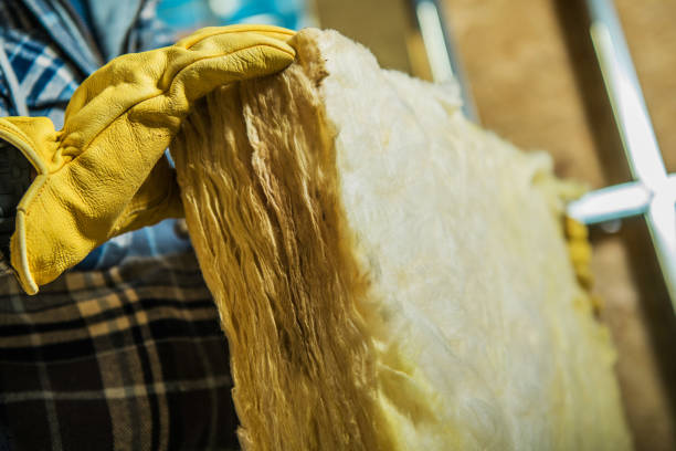 Best Insulation Installation Services in Farm Loop, AK