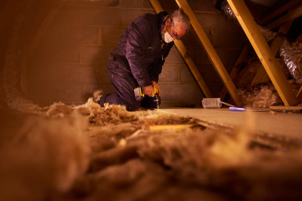 Best Residential Insulation in Farm Loop, AK