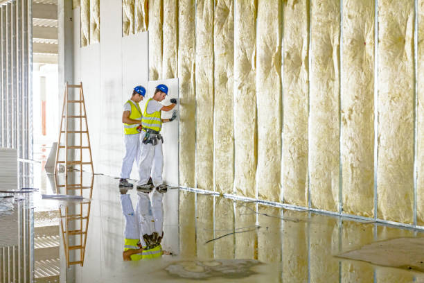 Best Types of Insulation in Farm Loop, AK